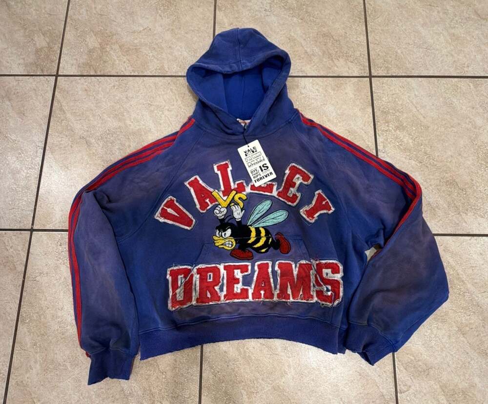 Buy Vale Forever Anthem Pullover 'Mauve' - VALE 09 007 APB BL